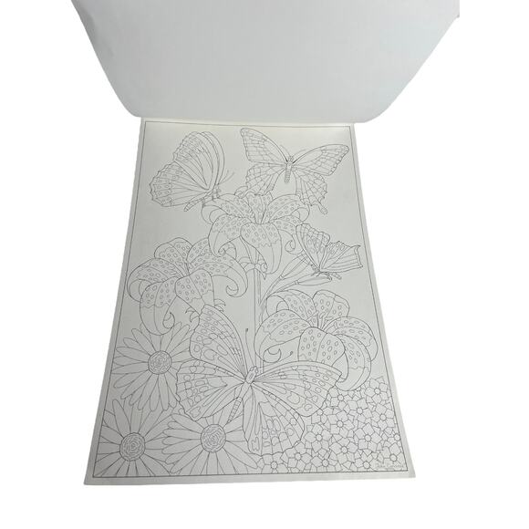 VTG Red Farm Studio Butterflies LARGE COLORING BOOK 6PG Carroza Art Attached 18" - Picture 2 of 8